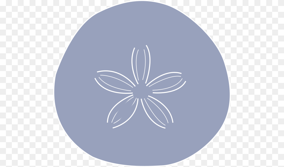 Sand Dollar Circle, Disk, Egg, Food Png Image