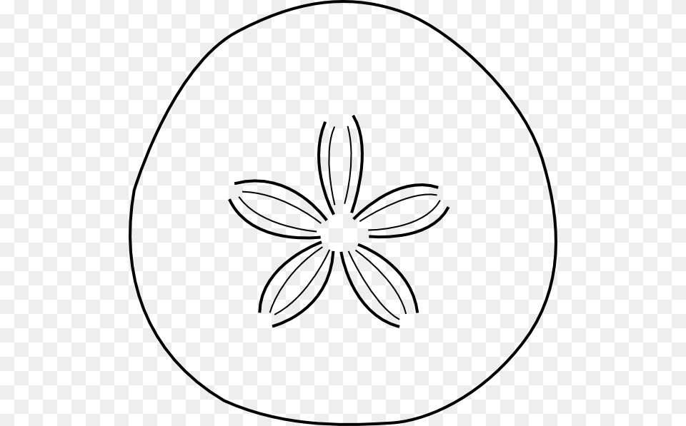 Sand Dollar Clip Art, Stencil, Egg, Food Free Png