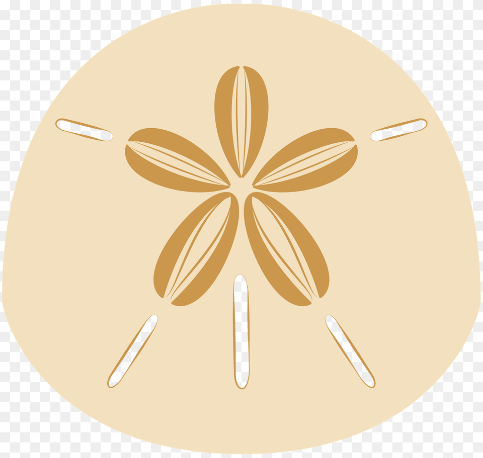 Sand Dollar Clipart, Cutlery, Home Decor, Astronomy, Moon Free Transparent Png