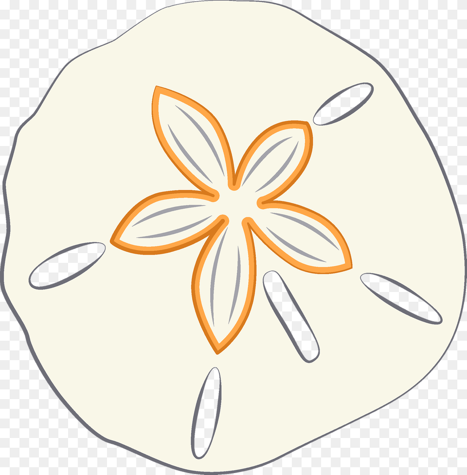 Sand Dollar Clipart, Flower, Petal, Plant, Art Free Png Download