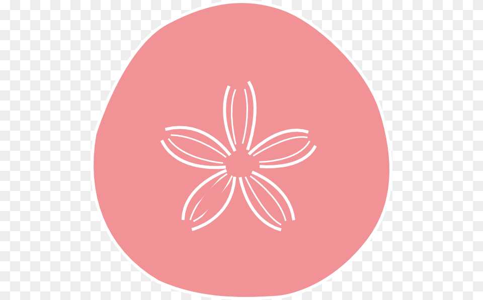 Sand Dollar Coral Clip Art, Easter Egg, Egg, Food, Flower Free Png Download