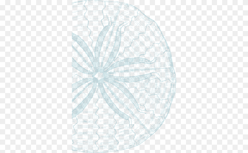 Sand Dollar Kevin O39brien Studio Nauticals Sand Brown Dollar, Accessories, Home Decor, Sphere, Animal Free Png Download