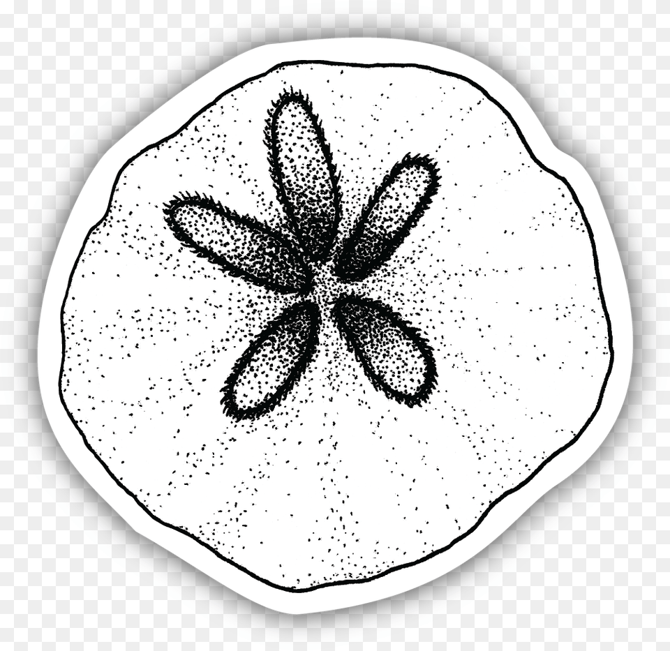 Sand Dollar Sketch 20 Sticker Line Art, Drawing, Flower, Petal, Plant Free Png