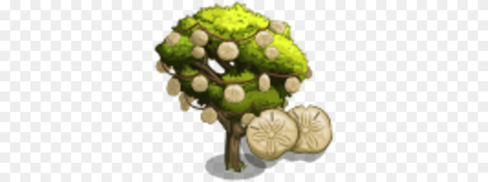 Sand Dollar Tree Farmville Wiki Fandom Fruit, Moss, Plant, Green, Vegetation Free Transparent Png