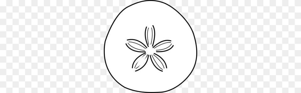 Sand Dollar Whitelack Clip Art, Stencil, Astronomy, Moon, Nature Png