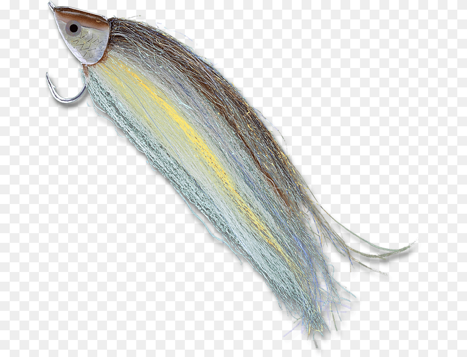 Sand Eel, Animal, Bird, Sea Life, Fishing Lure Png