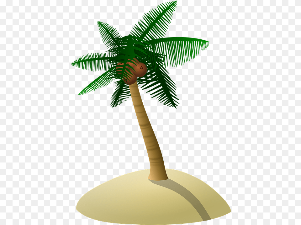 Sand Island Clipart Explore Pictures, Palm Tree, Plant, Tree, Appliance Free Transparent Png