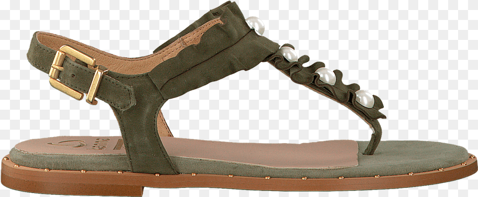 Sandal, Clothing, Footwear Free Png Download