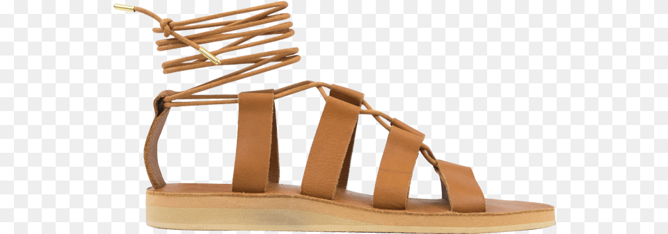 Sandal, Clothing, Footwear Png Image