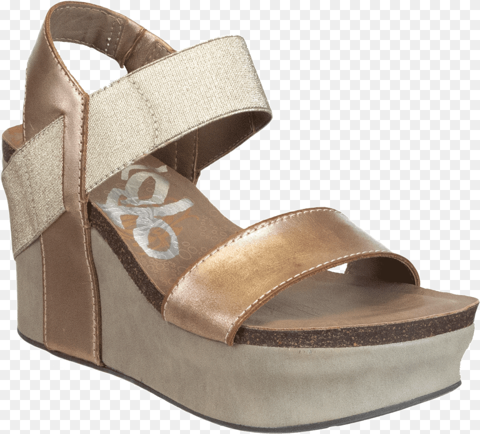 Sandal, Clothing, Footwear, Accessories, Bag Png Image