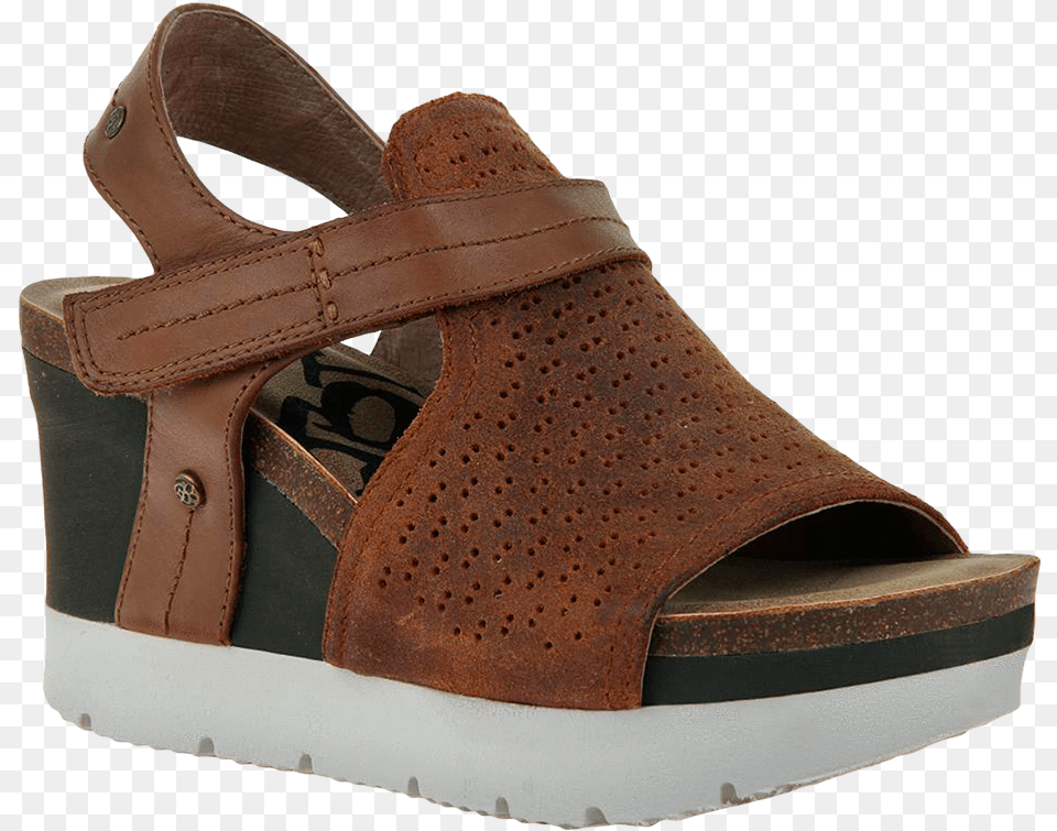 Sandal, Clothing, Footwear, Shoe Free Transparent Png