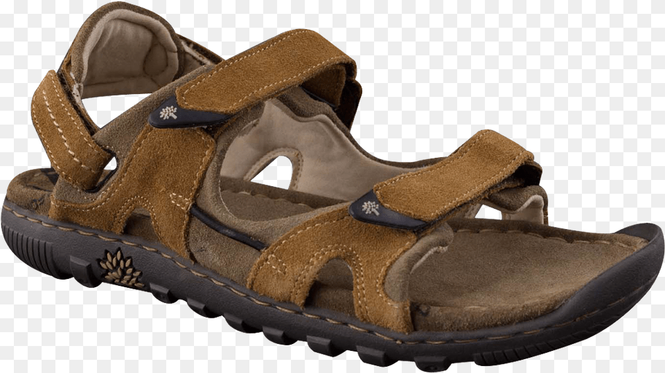 Sandals Image Sandals, Clothing, Footwear, Sandal Png