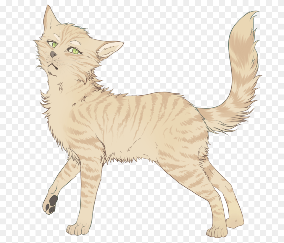 Sandstorm By Karaikou Warrior Cats Sandstorm, Animal, Cat, Mammal, Pet Png