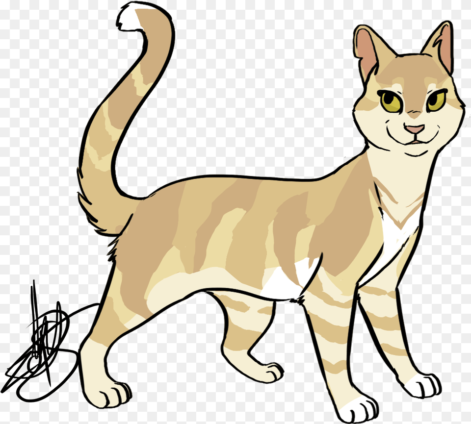Sandstorm Sorry For The Break I Got Super Busy Cat Yawns, Animal, Mammal, Pet, Abyssinian Free Png