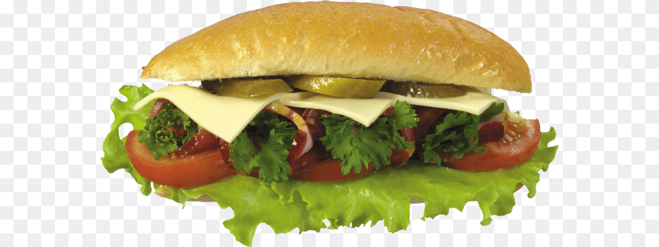 Sandwich And Burger Burger, Food Png Image