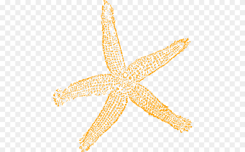 Sandy Starfish Clip Art At Vector Clip Art Online Image Fish Clip Art, Animal, Sea Life, Invertebrate, Plant Free Png Download
