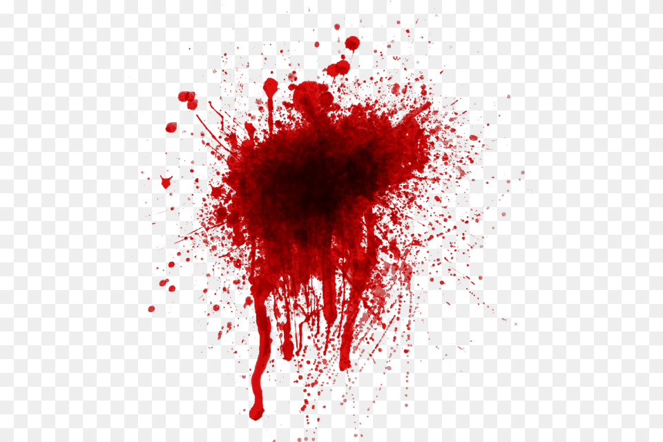 Sangre Blood, Stain, Fireworks, Plant Free Transparent Png