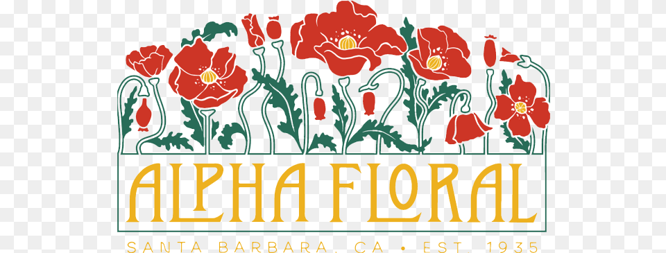 Santa Barbara Florist Flower Delivery By Alpha Floral Hybrid Tea Rose, Plant, Baby, Person Png