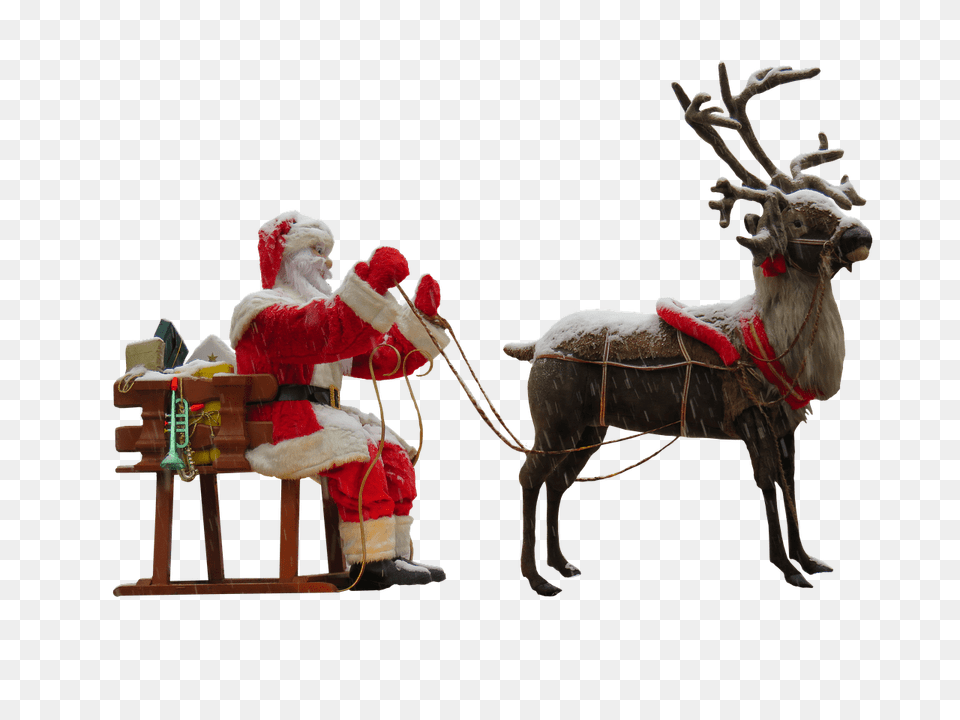 Santa Claus And Reindeer, Person, Animal, Deer, Mammal Png
