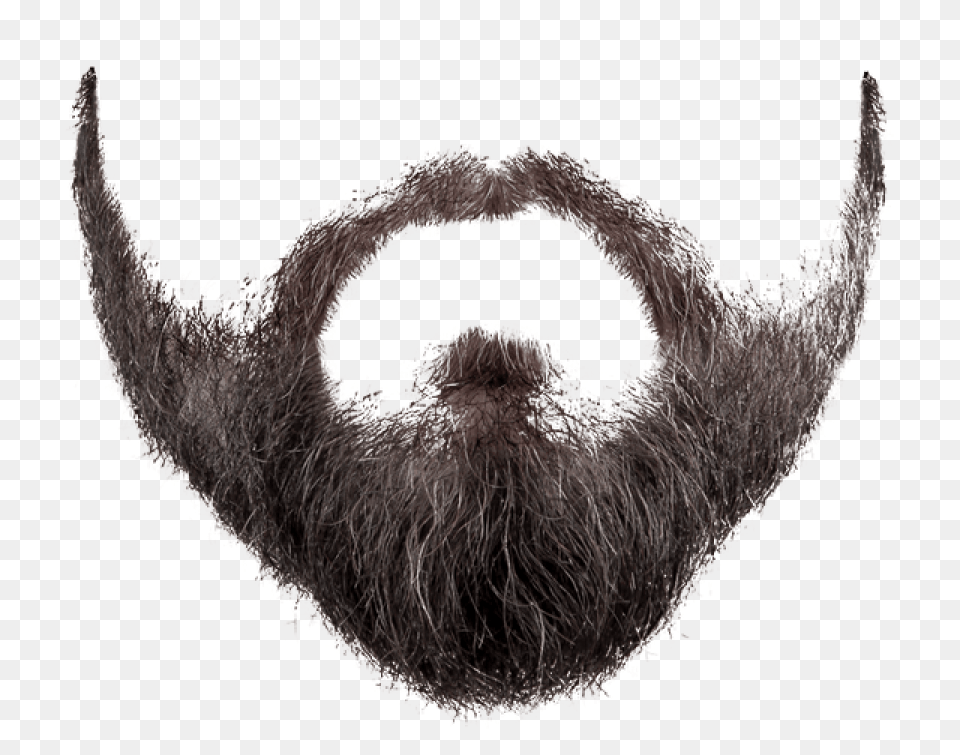 Santa Claus Beard Transparent Beard, Face, Head, Person, Mustache Free Png Download