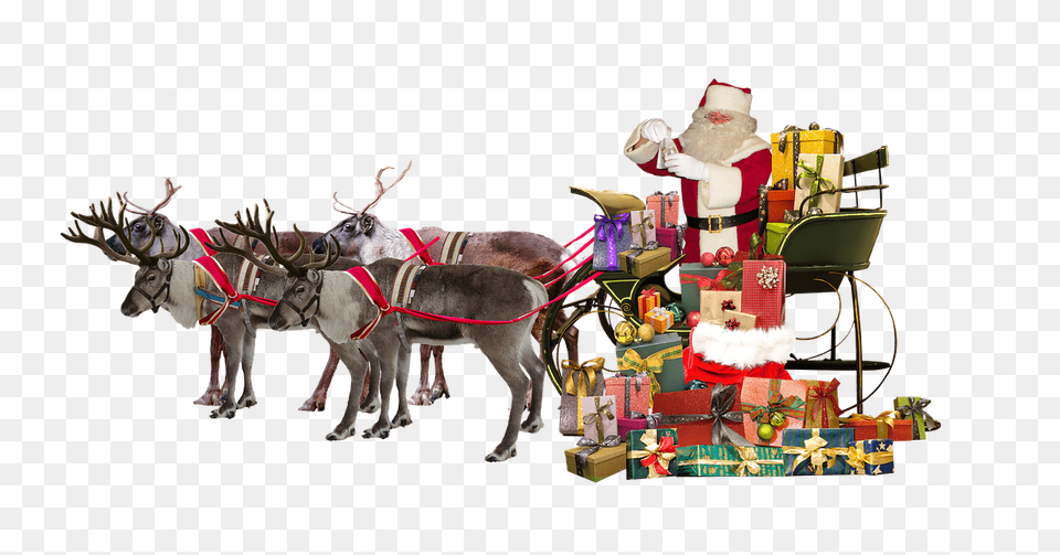 Santa Claus Bringing Presents, Adult, Wedding, Person, Female Png