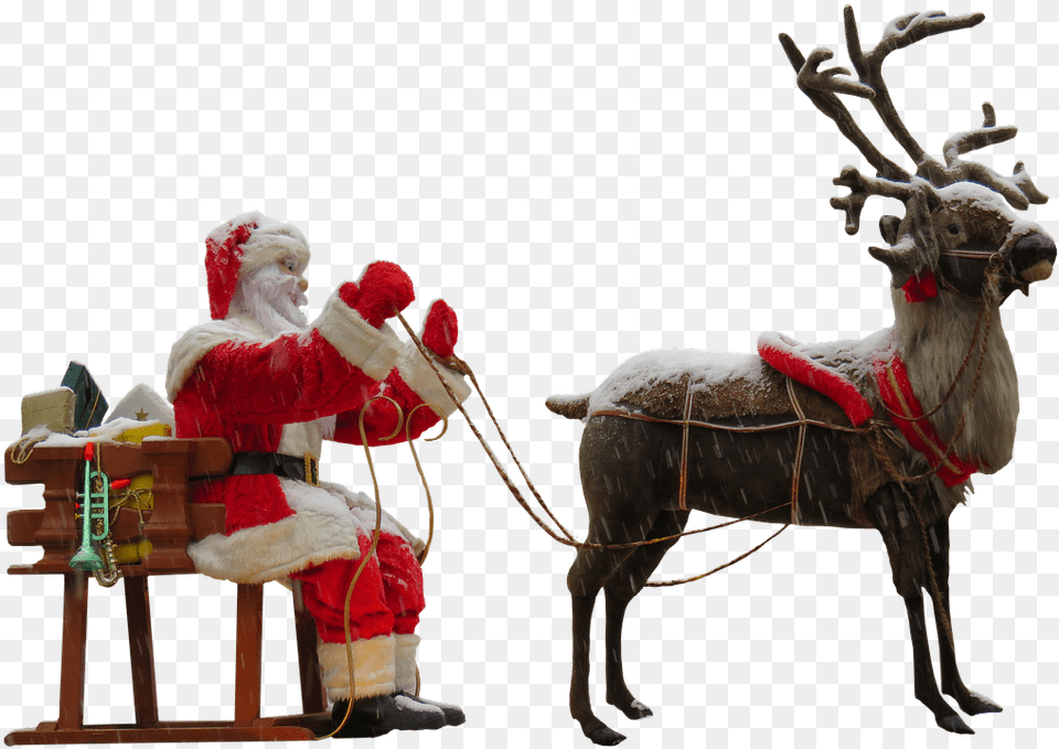 Santa Claus Deer, Animal, Mammal, Person, Wildlife Png