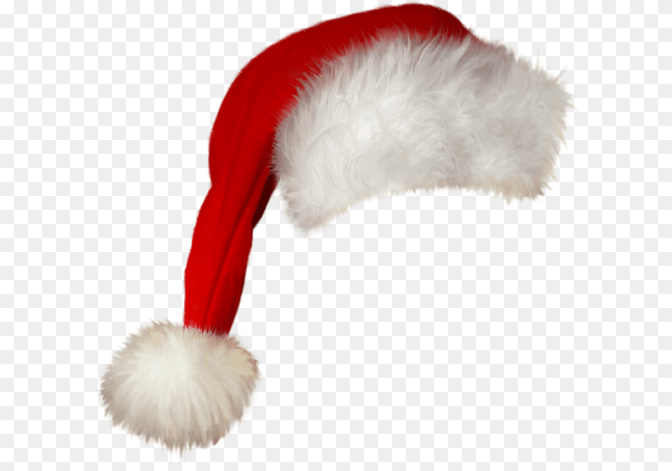 Santa Claus Hat Christmas Cap, Accessories, Feather Boa, Fungus, Plant Free Transparent Png