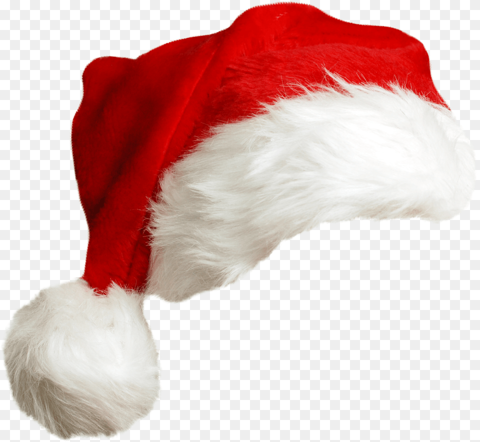 Santa Claus Mrs Santa Claus Hat, Clothing, Cap, Animal, Bird Png