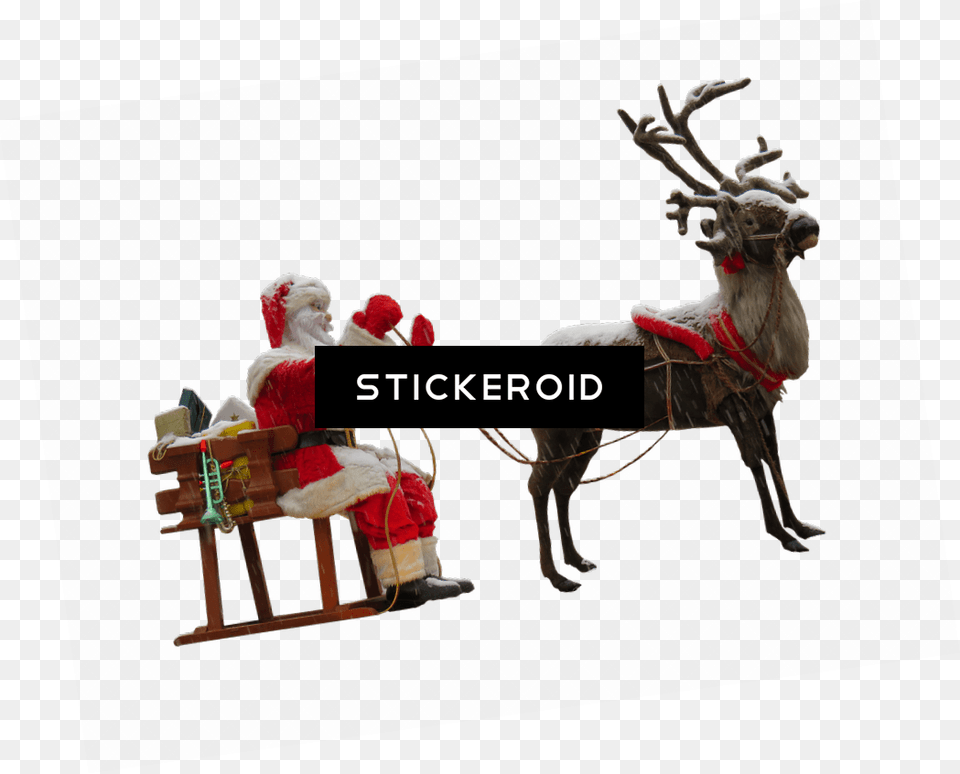 Santa Claus Sleigh Christmas Wishes, Adult, Female, Person, Woman Png