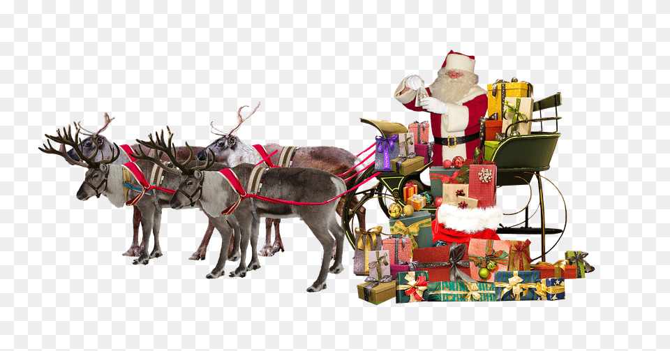 Santa Claus Sleigh Deer Gifts, Adult, Bride, Female, Person Free Png