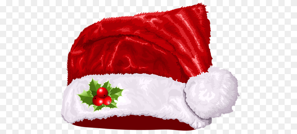 Santa Hat, Blanket, Flower, Plant, Rose Free Transparent Png