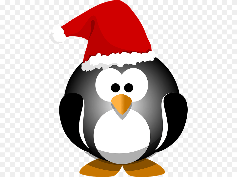 Santa Hat Clipart Holiday Hat, Animal, Bird, Penguin, Nature Free Transparent Png
