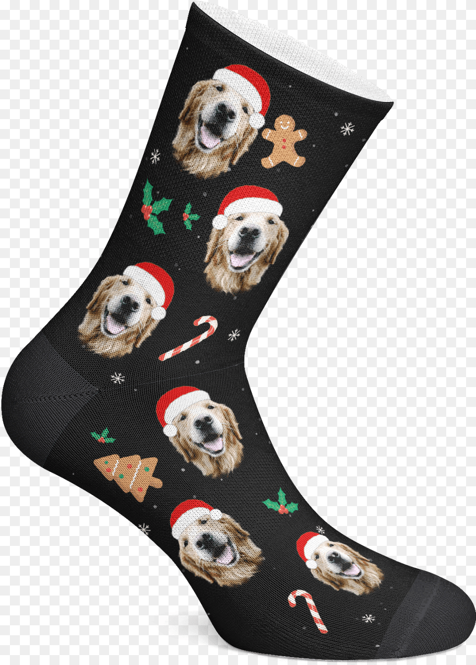 Santa Hat Pup Beagle, Hosiery, Clothing, Sock, Pet Png