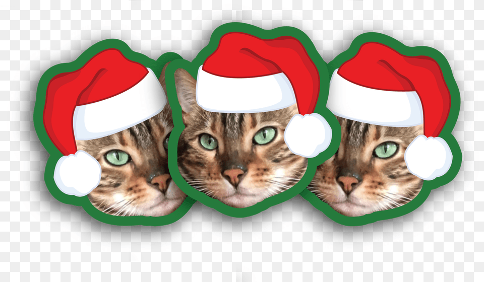 Santa Hat Stickers Illustration, Animal, Cat, Mammal, Pet Free Png Download