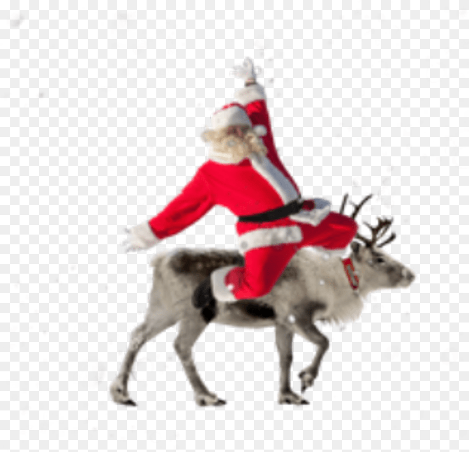 Santa Reindeer Christmas Holiday Christmas, Baby, Person, Outdoors Free Png Download