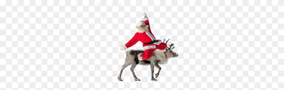 Santa Reindeer Christmas Holiday Reindeer, Animal, Canine, Dog, Mammal Free Png Download