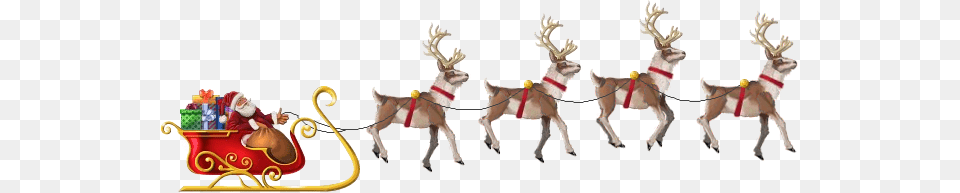 Santa Sleigh, Animal, Canine, Dog, Mammal Png