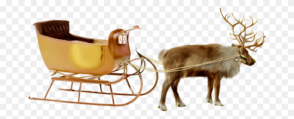 Santa Sleigh, Animal, Canine, Dog, Mammal Png