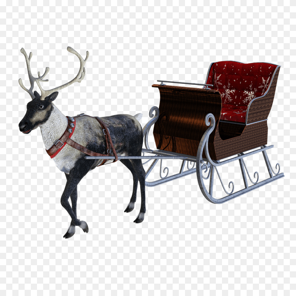 Santa Sleigh, Animal, Antelope, Mammal, Wildlife Free Transparent Png