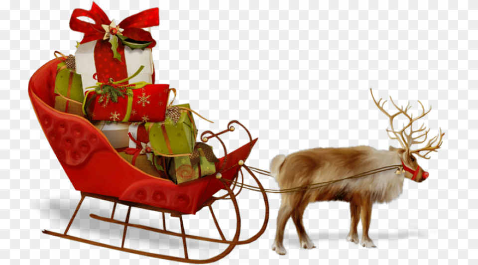 Santa Sleigh Christmas Sleigh Background, Animal, Deer, Mammal, Wildlife Free Png