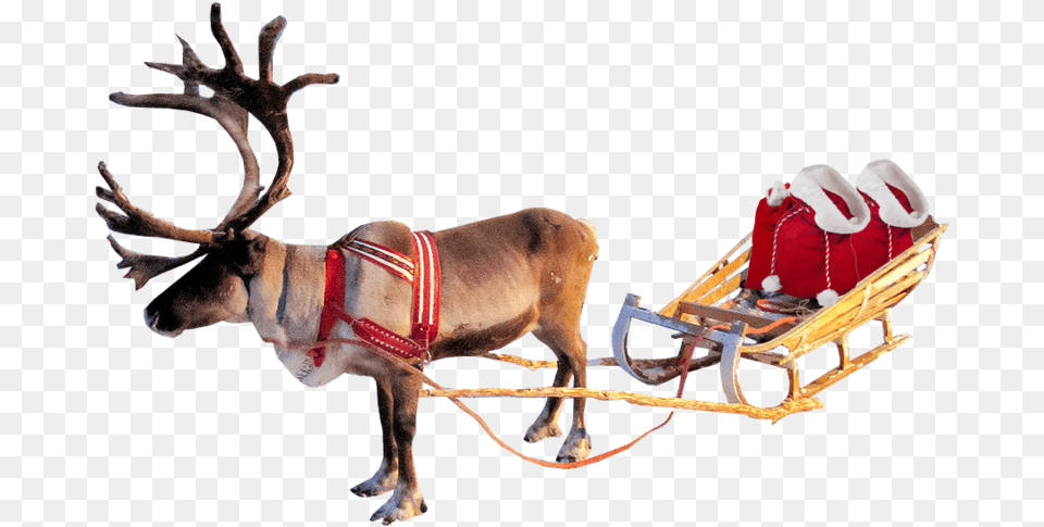 Santa Sleigh Clipart Christmas Reindeer Transparent Background, Animal, Mammal, Wildlife, Antelope Png Image