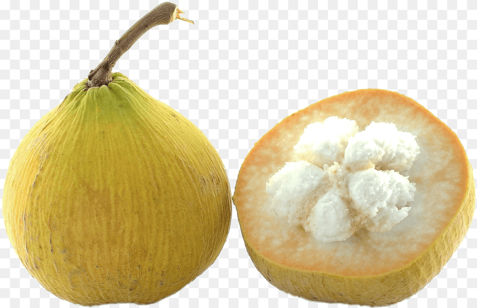 Santol Tree Santol Clipart, Food, Fruit, Plant, Produce Png