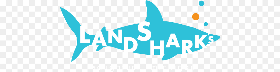 Sanuk Mackerel Sharks, Animal, Sea Life, Fish, Baby Png Image
