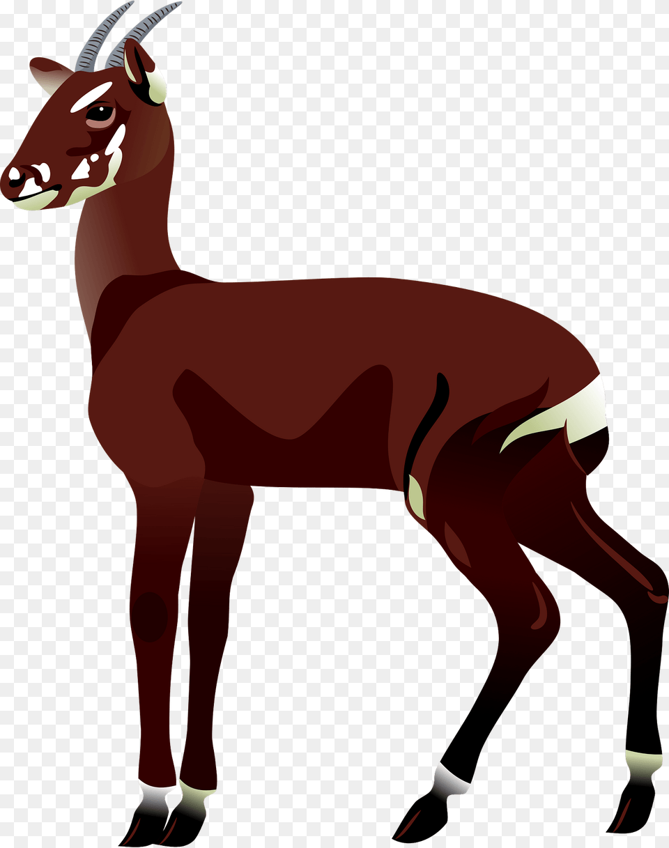 Saola Clipart, Animal, Antelope, Deer, Impala Free Transparent Png
