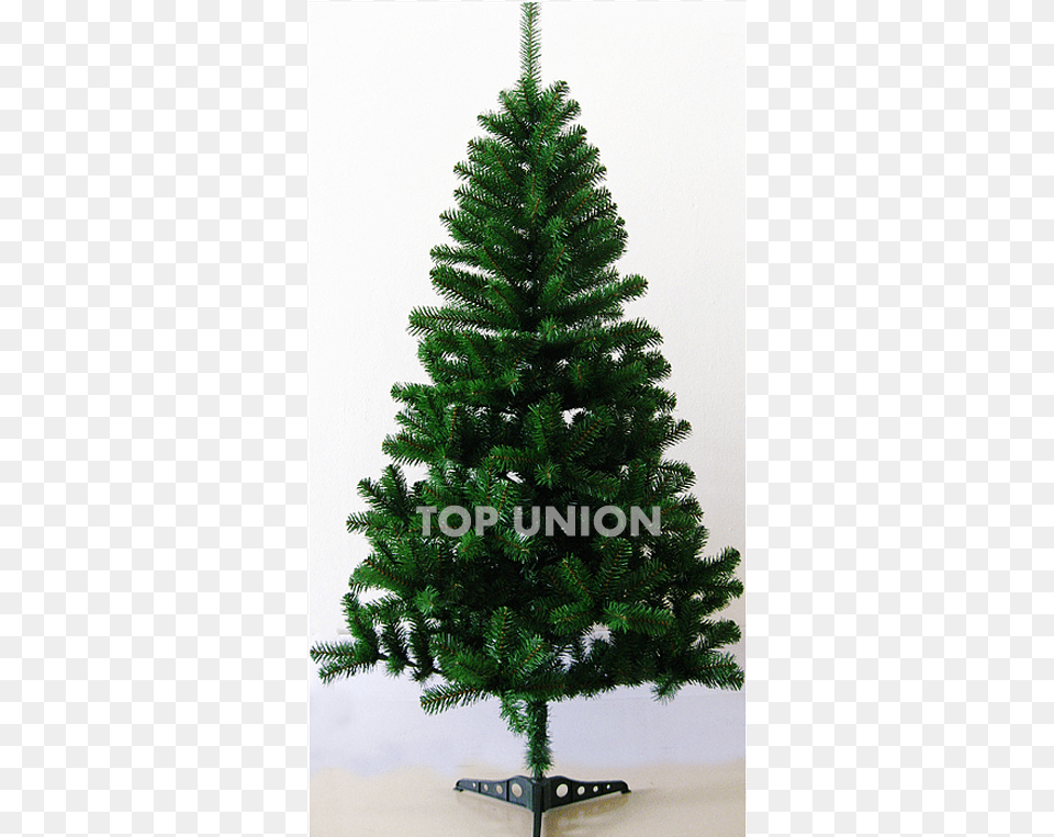 Sapin De Noel, Plant, Tree, Pine, Fir Free Transparent Png