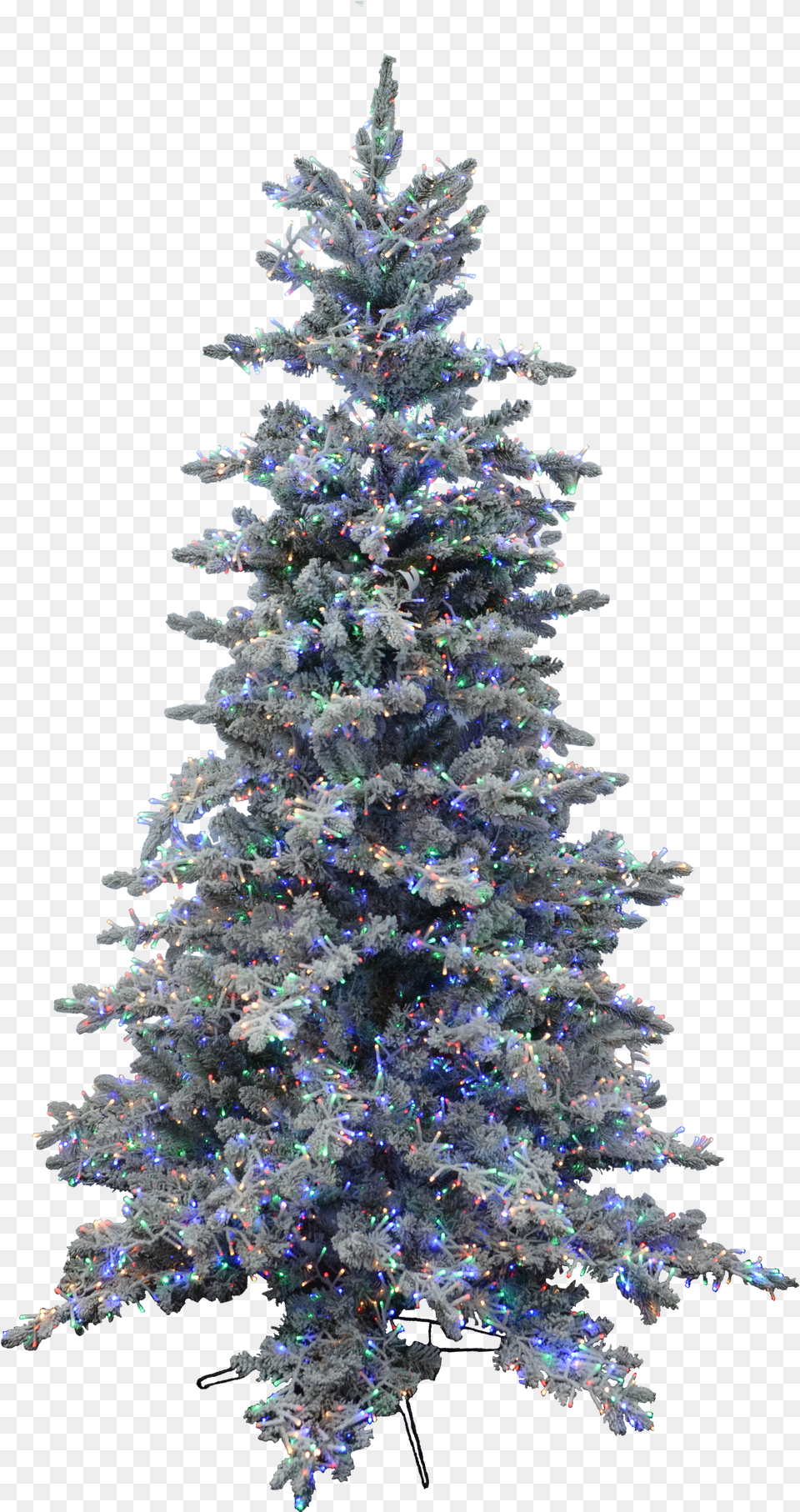 Sapin De Noel Enneig Png