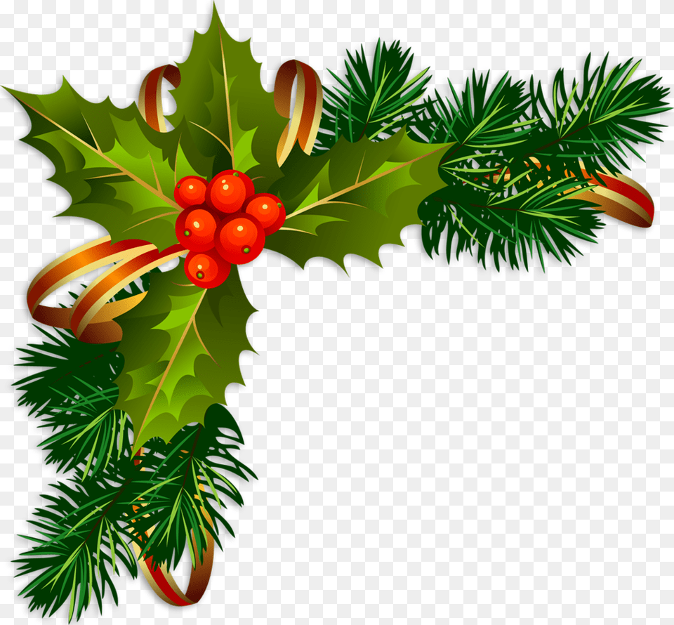 Sapins Branches De Sapins Christmas Tree Abeto Con Transparent Background Christmas Holly, Conifer, Plant, Leaf, Art Free Png Download