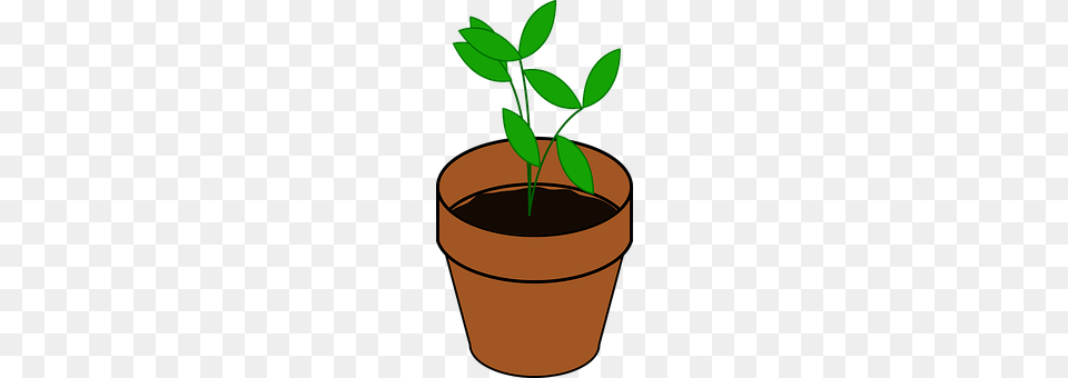 Sapling Leaf, Plant, Potted Plant, Herbal Free Png