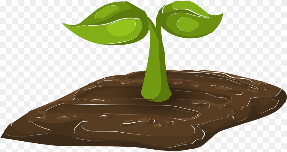 Sapling Clipart, Plant, Sprout, Green Free Png Download