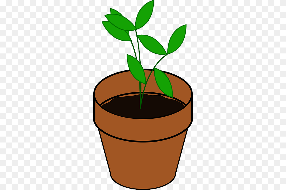 Sapling Pot Potted Plant Brown Dirt Green Grow Free Plant Clipart, Herbal, Herbs, Potted Plant, Leaf Png Image
